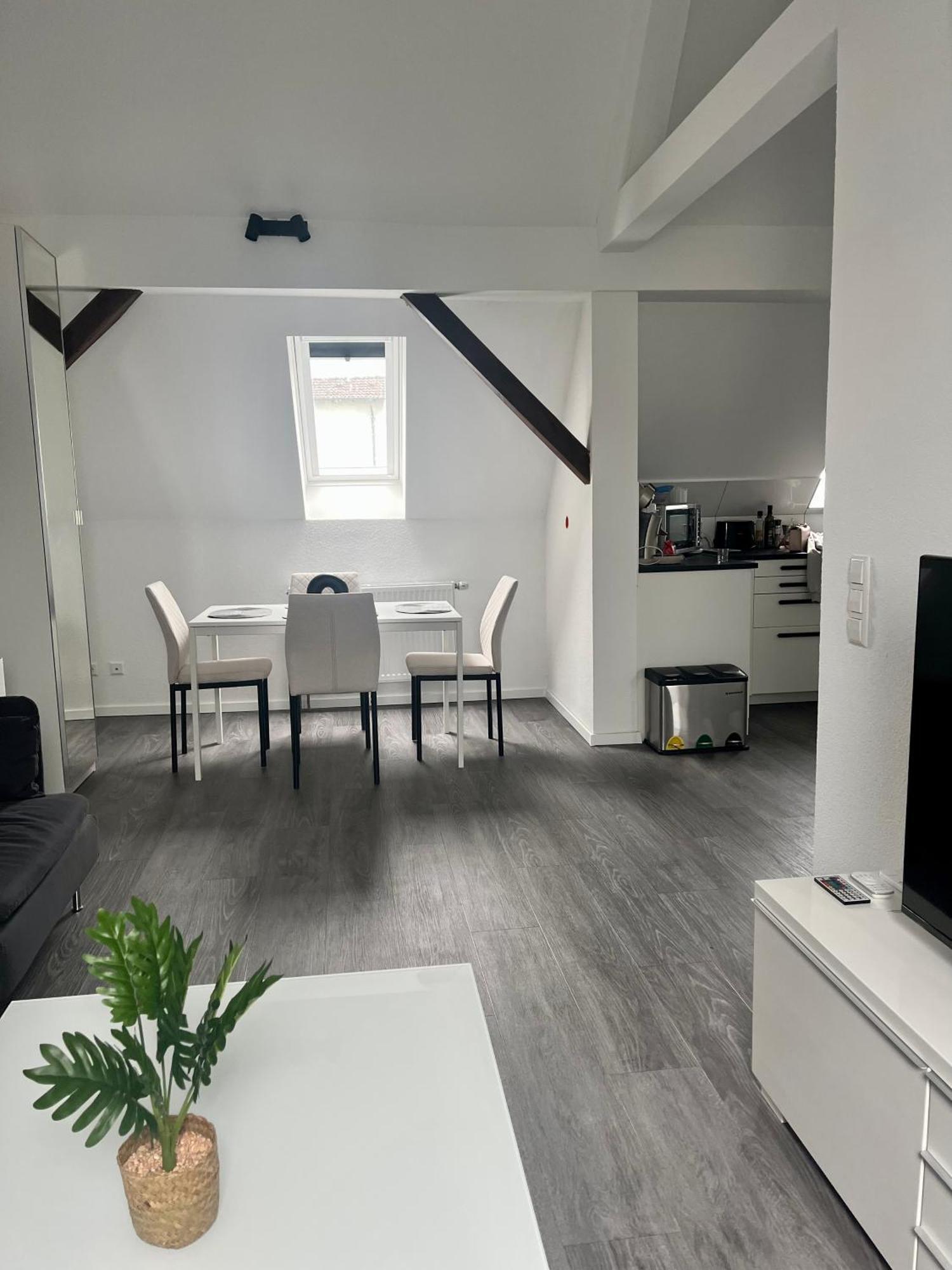 Rk-Lounge,2- Zimmer Wohnung - Modern Und Stylisch Baden-Baden Ngoại thất bức ảnh